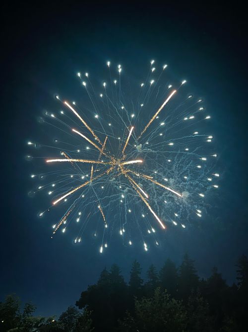 Free Spectacular fireworks display lighting up the night sky above a forest. Stock Photo