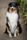 long