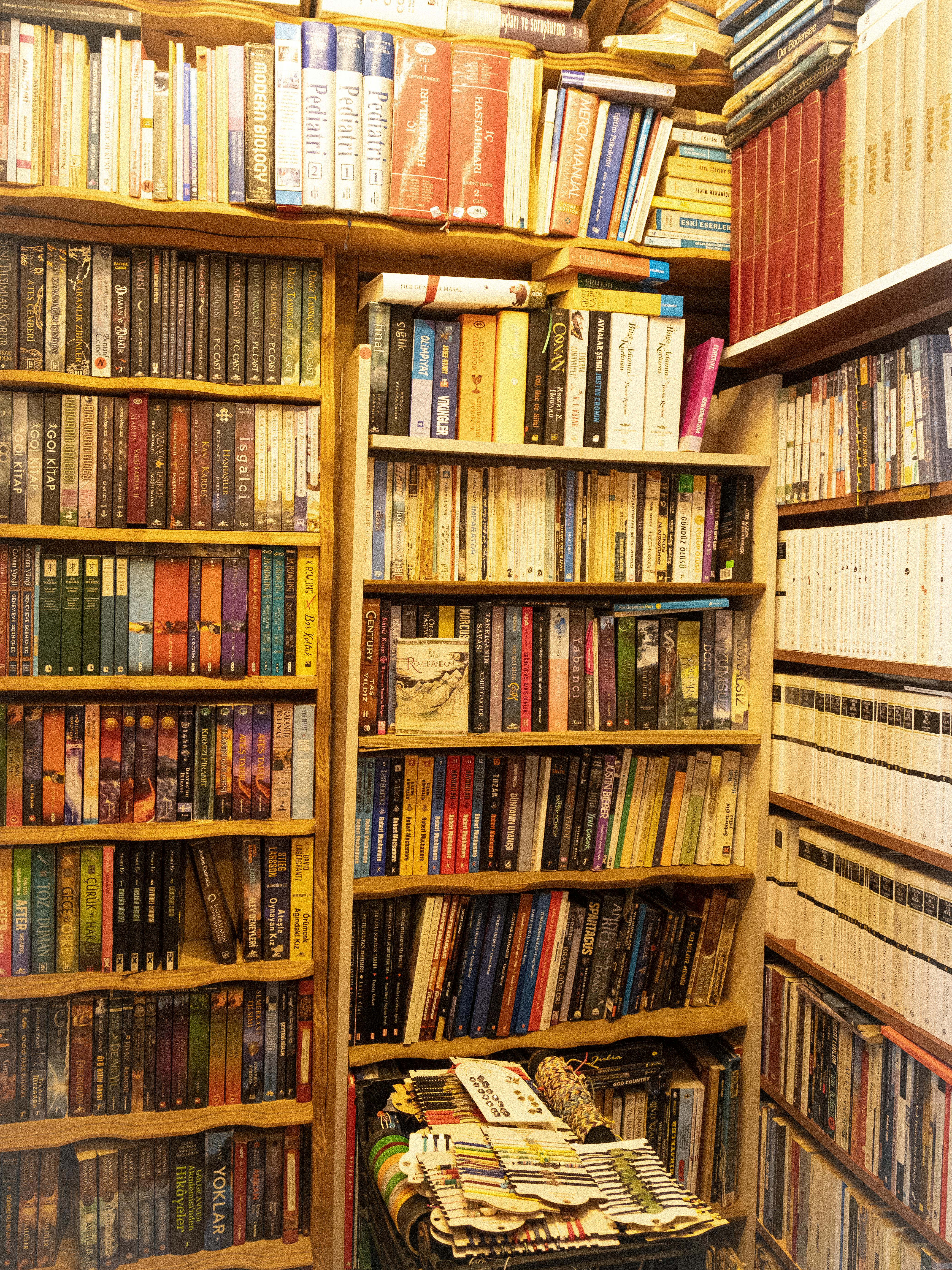 A cozy library filled with assorted bookshelves showcasing a myriad of literary genres.