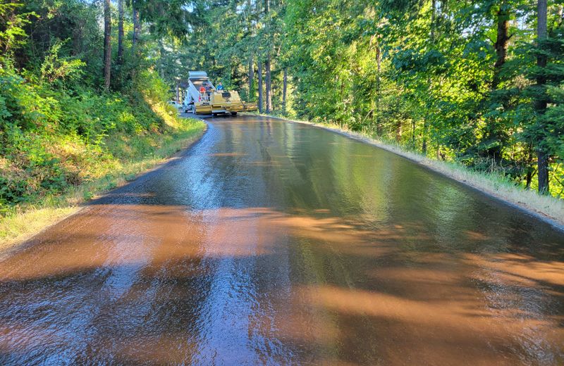 Freshly sealcoated smooth black asphalt surface
