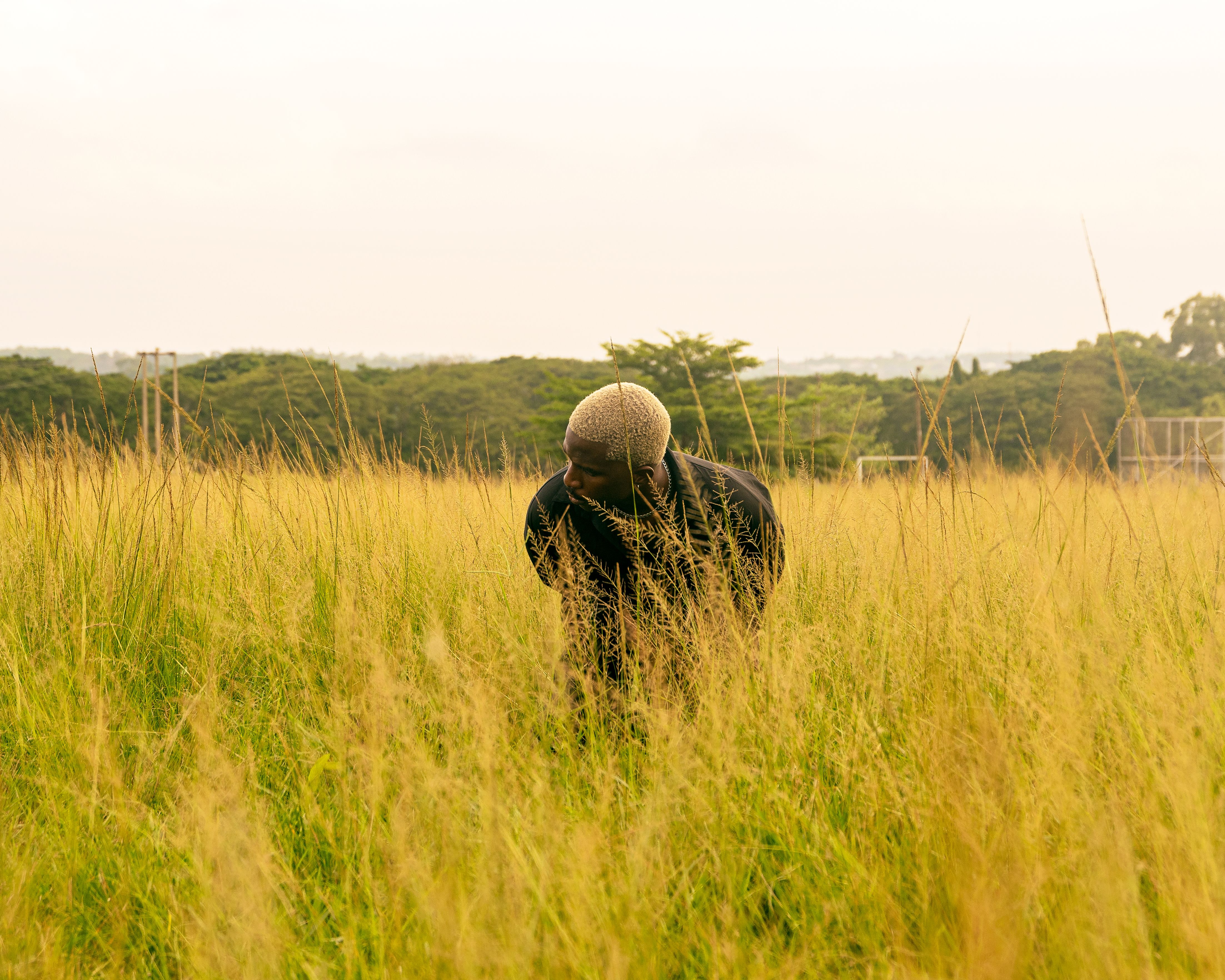A man is standing in a tall grass field · Free Stock Photo