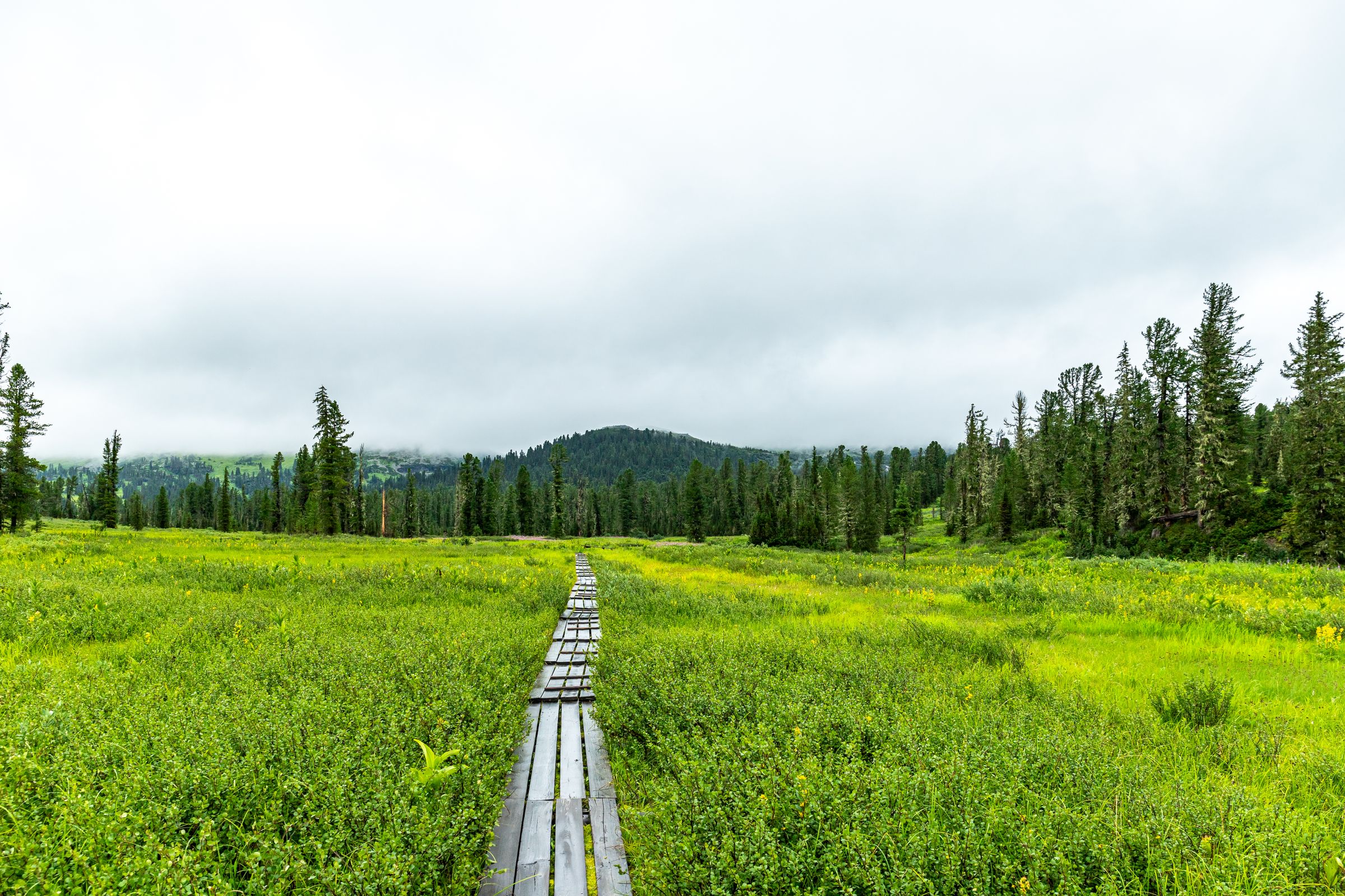 National Scenic Trails could get a conservation tax break