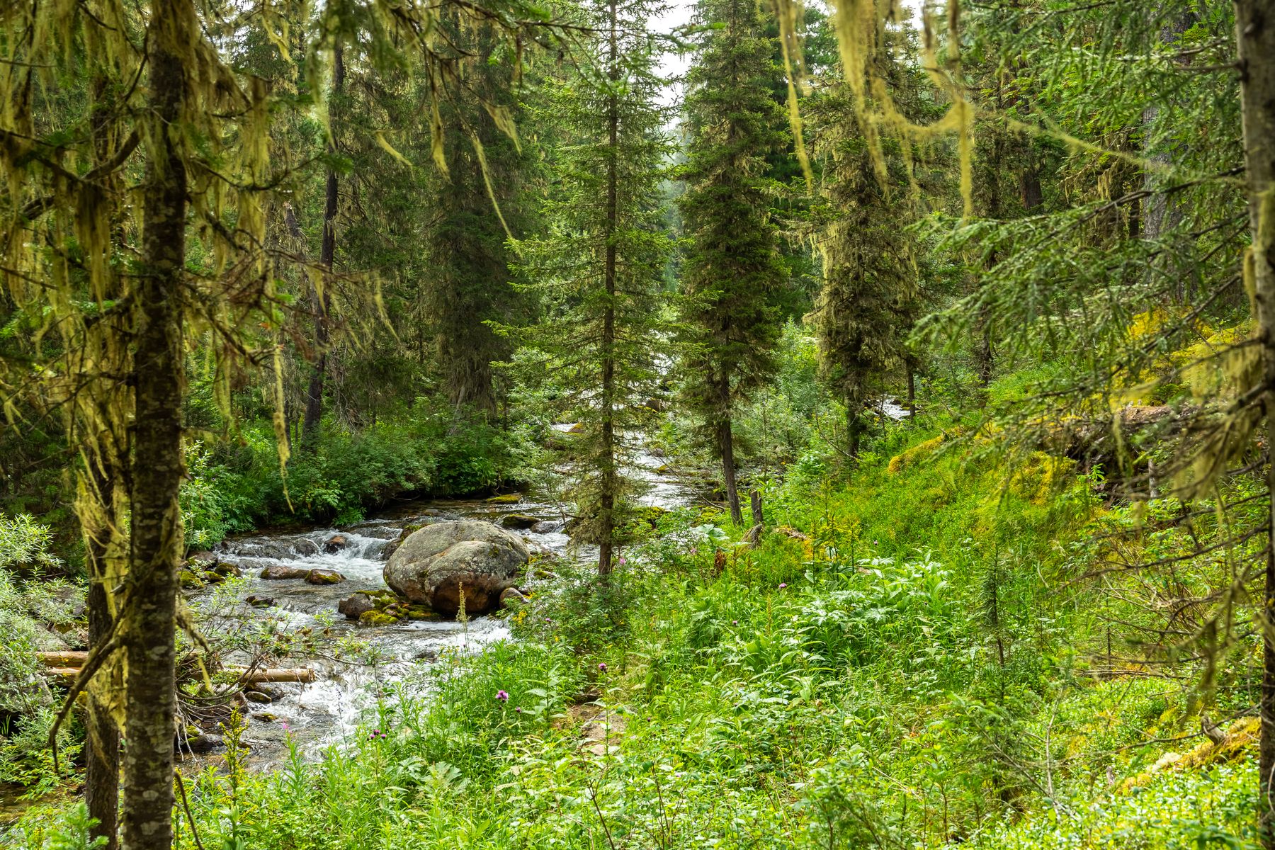 Beaver Creek, Yukon: A Traveller's Guide to Canada's Westernmost Town