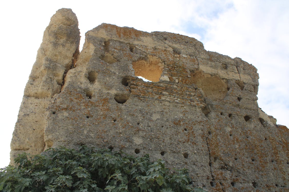castillo de Torrecera | fotografía 8