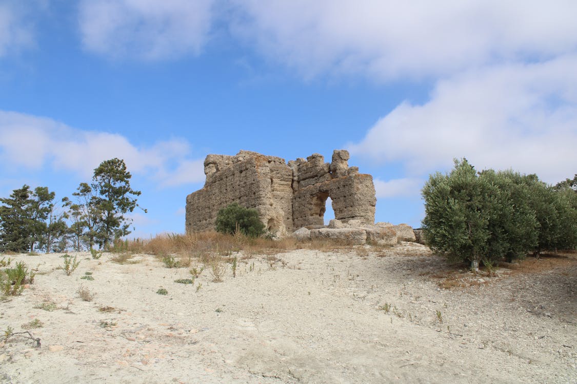 castillo de Torrecera | fotografía 14
