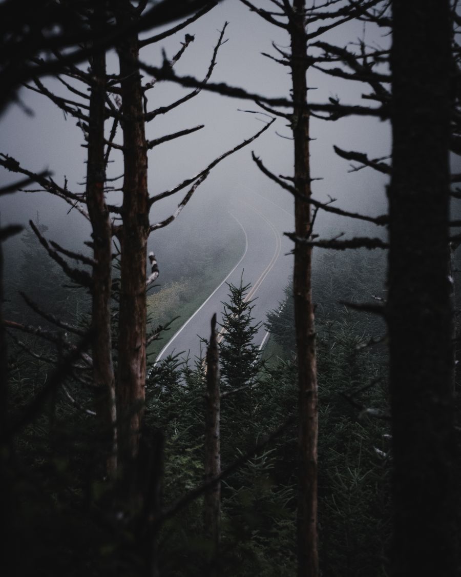 Thüringer Wald