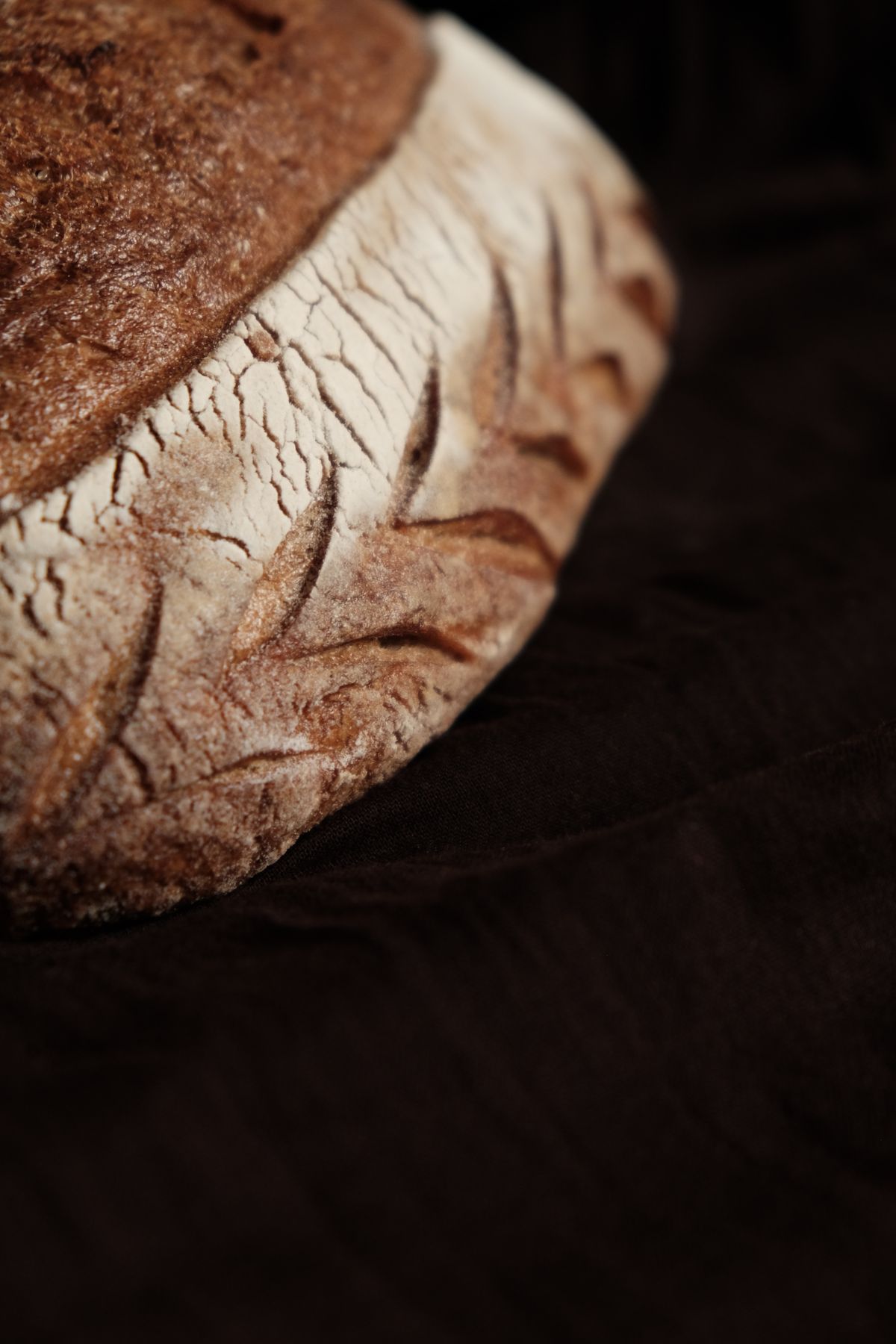 Miche de pain sur fond sombre