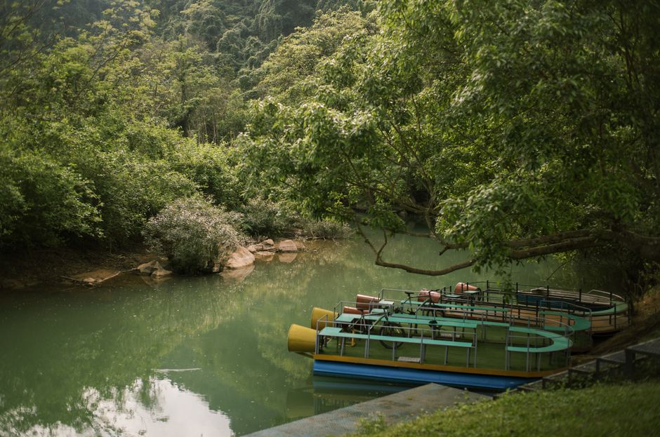 wisata susur sungai di Kalimantan Tengah melihat orangutan liar