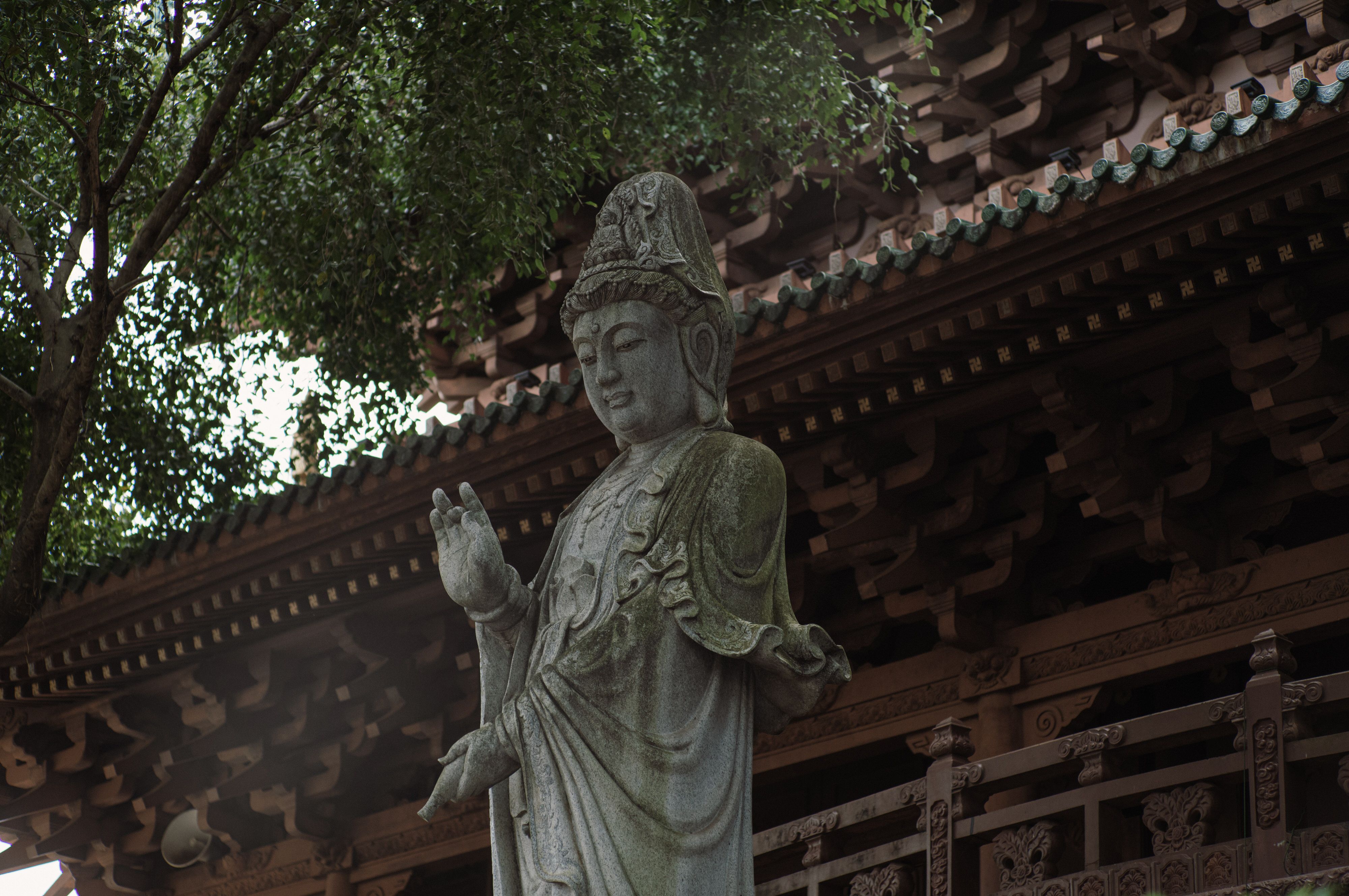 A statue of a buddha in front of a building · Free Stock Photo