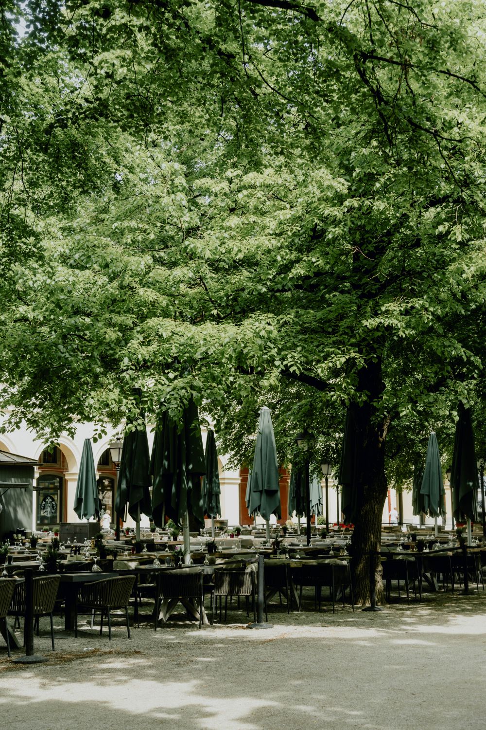 Grüner Biergarten für lockere Sommerfeste