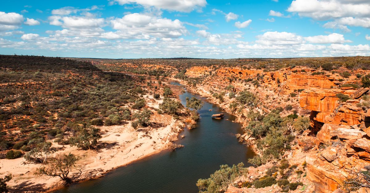 Fortescue Executive Faces Abuse Claims; Firm Cites Probe
