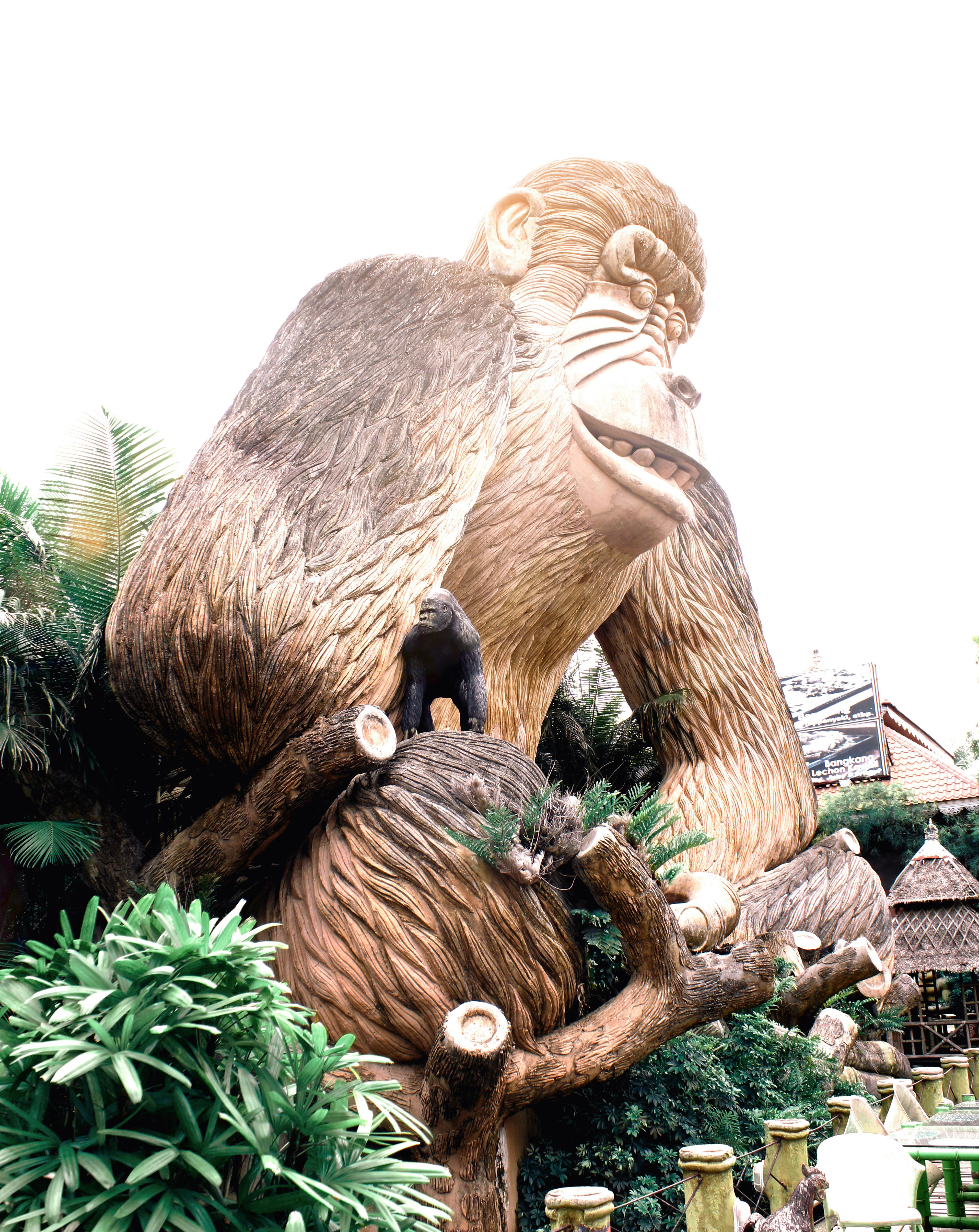 Free stock photo of animal park, animal photography, beauty in nature