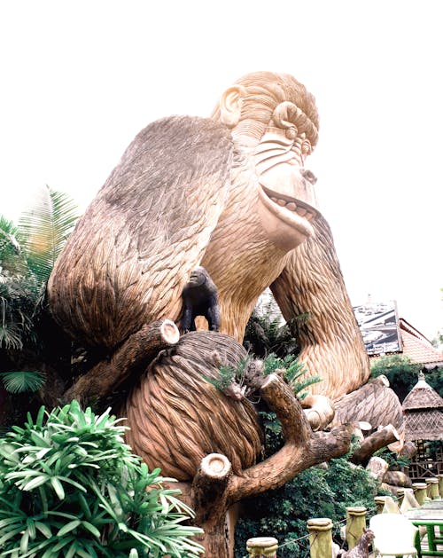 Darmowe zdjęcie z galerii z central park, drewno, fałszywy goryl