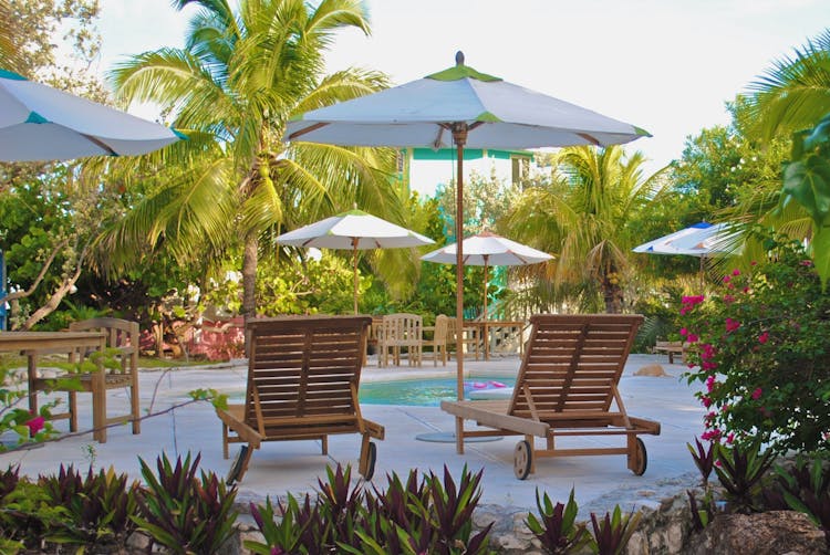 Two Brown Wooden Lounge Chairs At The Pool