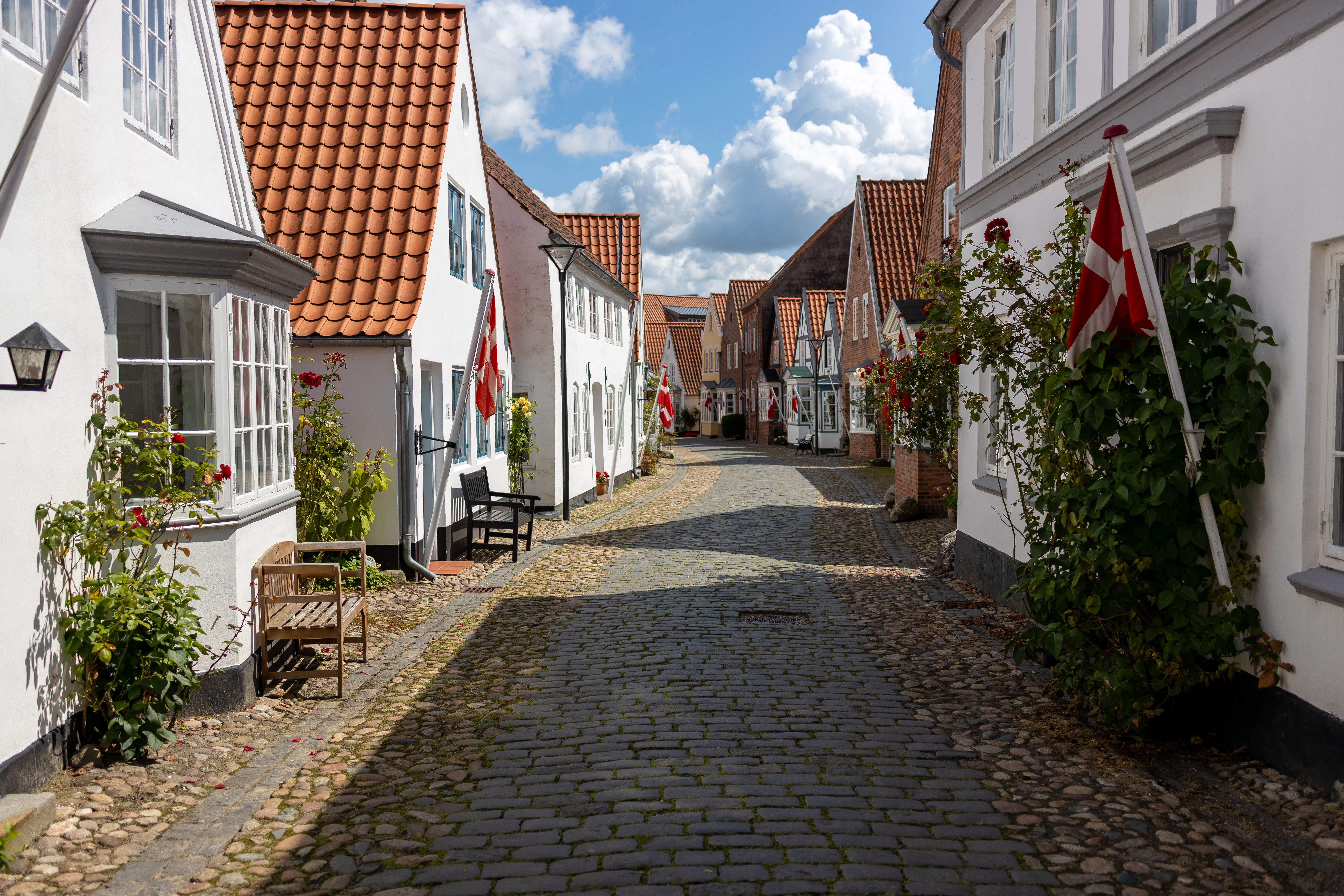 In Pictures: New Danish lifestyle shop opens inside Eastbourne shopping centre — Photo by Joerg Mangelsen on Pexels