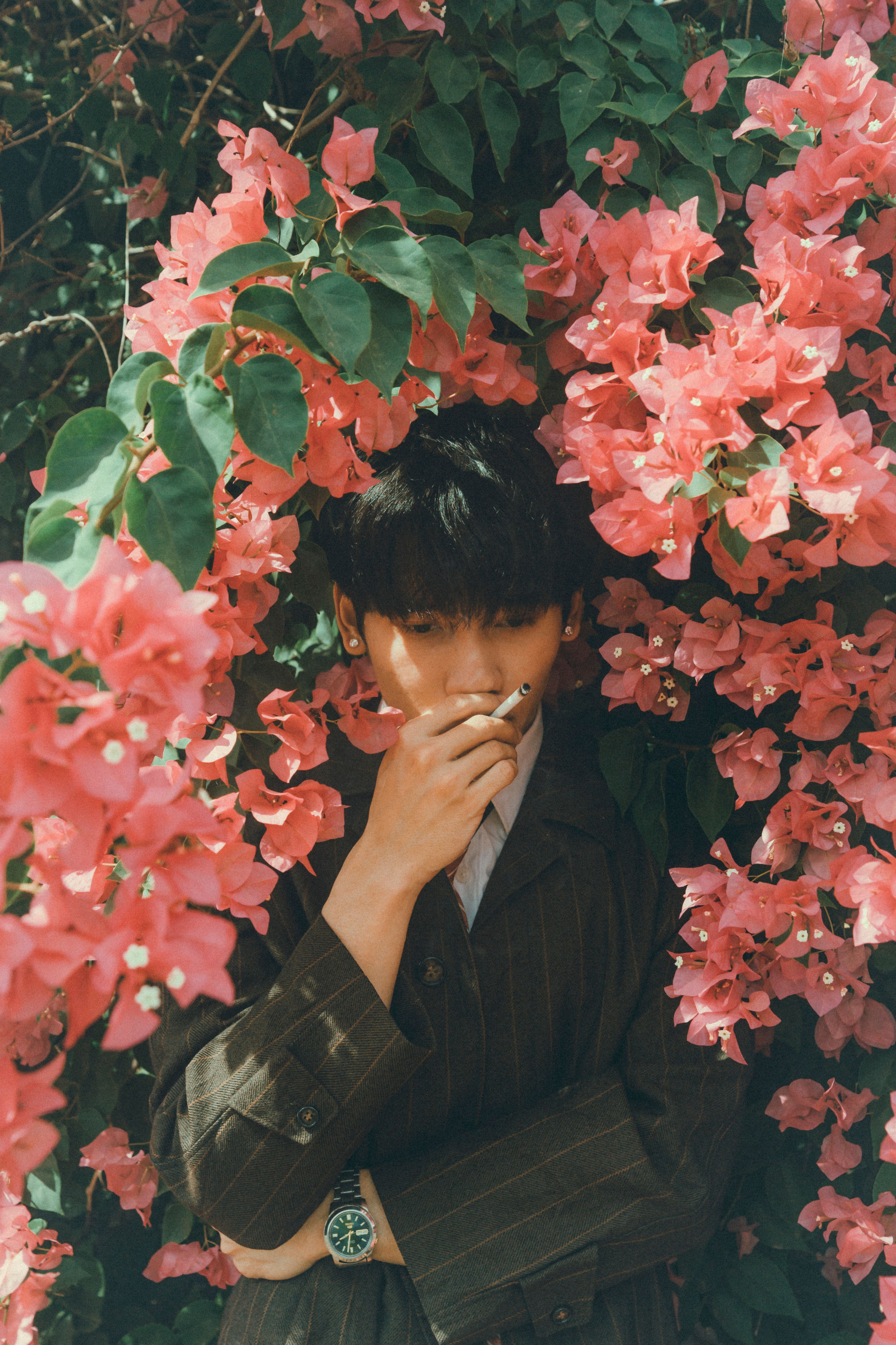 A creative portrait of an Asian man surrounded by lush pink bougainvillea in an outdoor garden.