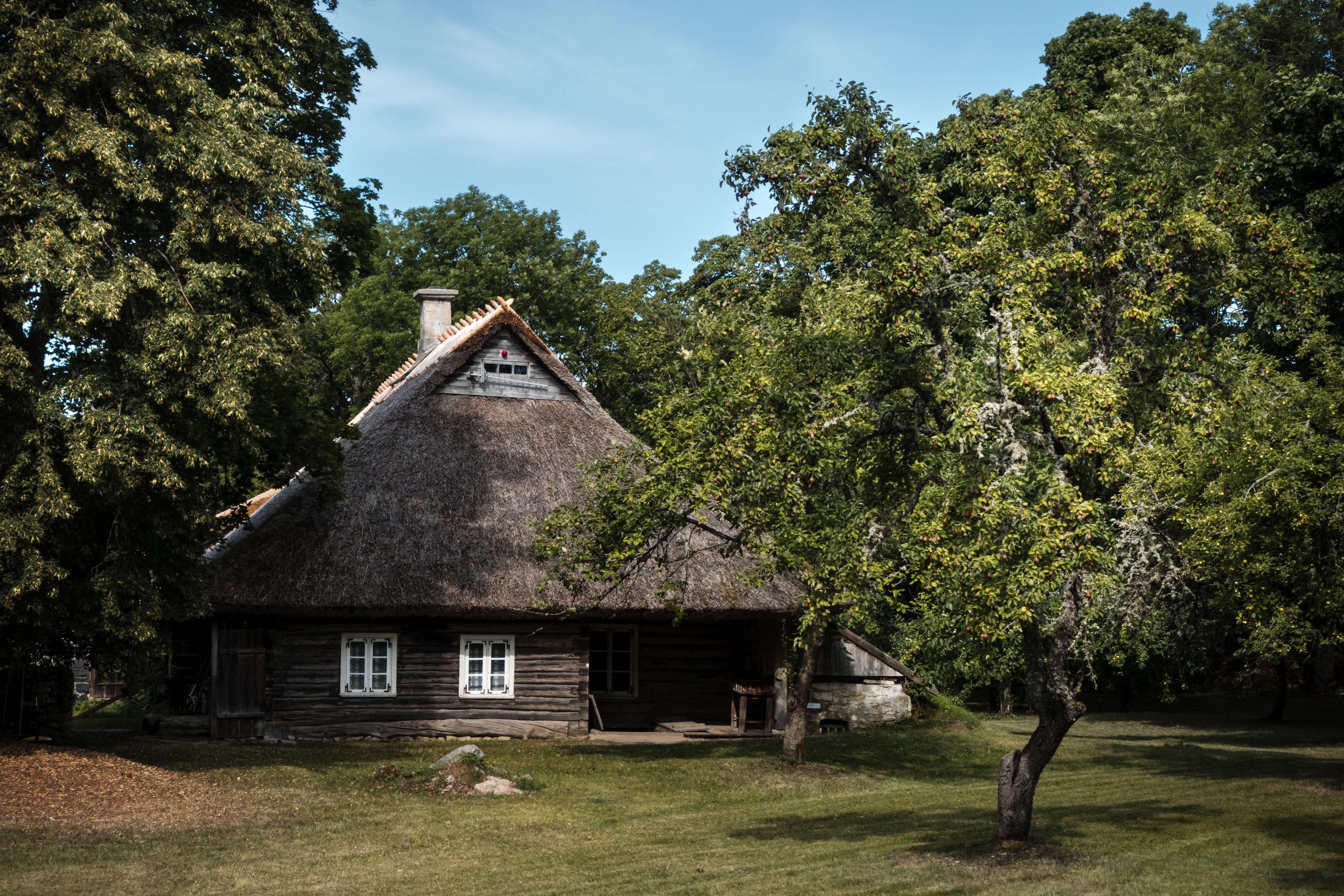 Quaint rustic house with thatched roof, nestled in lush countryside surrounded by trees.