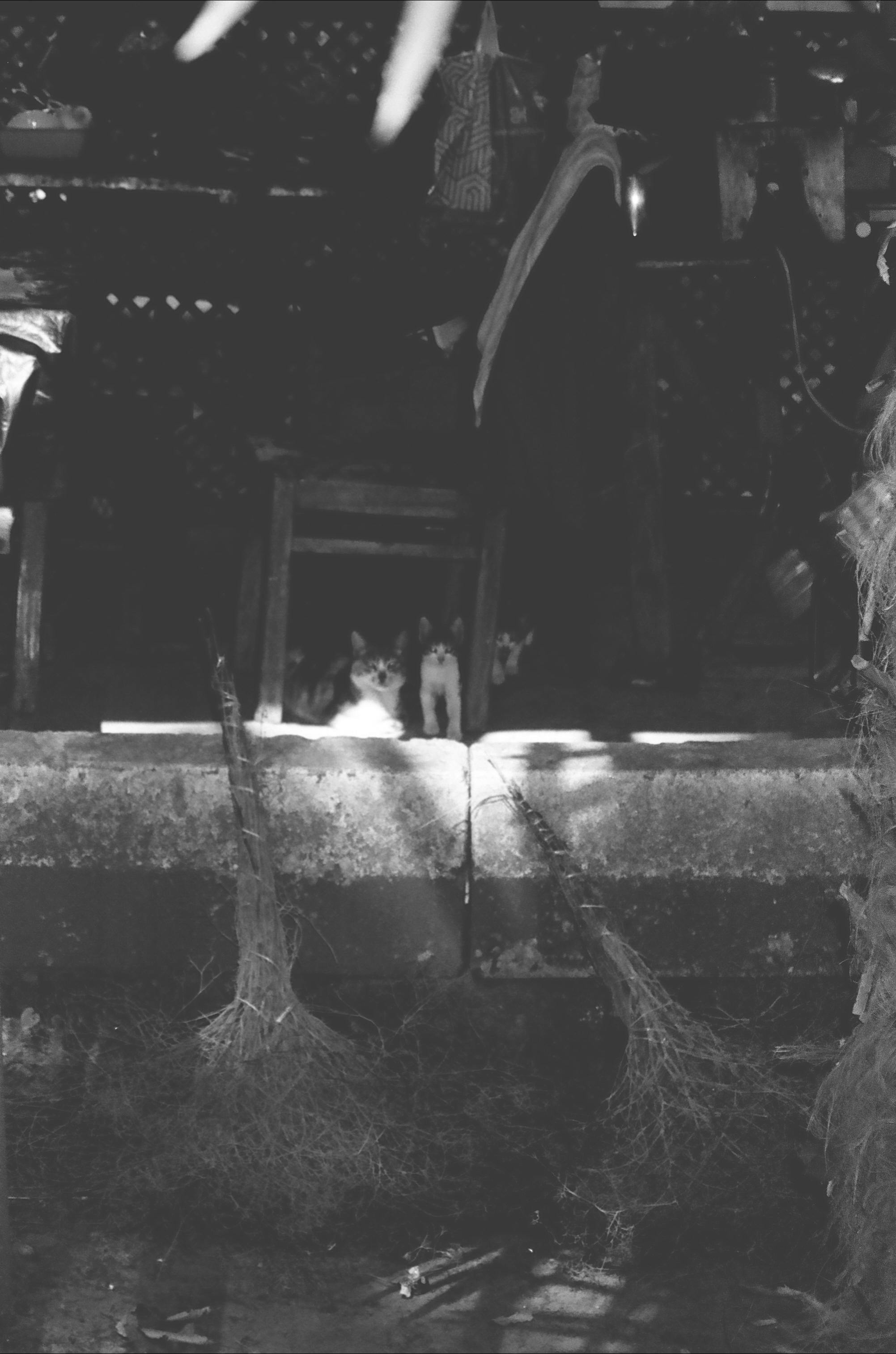 Bezpłatne Darmowe zdjęcie z galerii z antyczny, aparat analogowy, architektura Zdjęcie z galerii