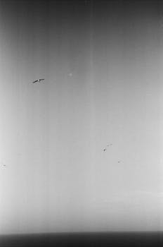 Whisper Your Fears to Flight