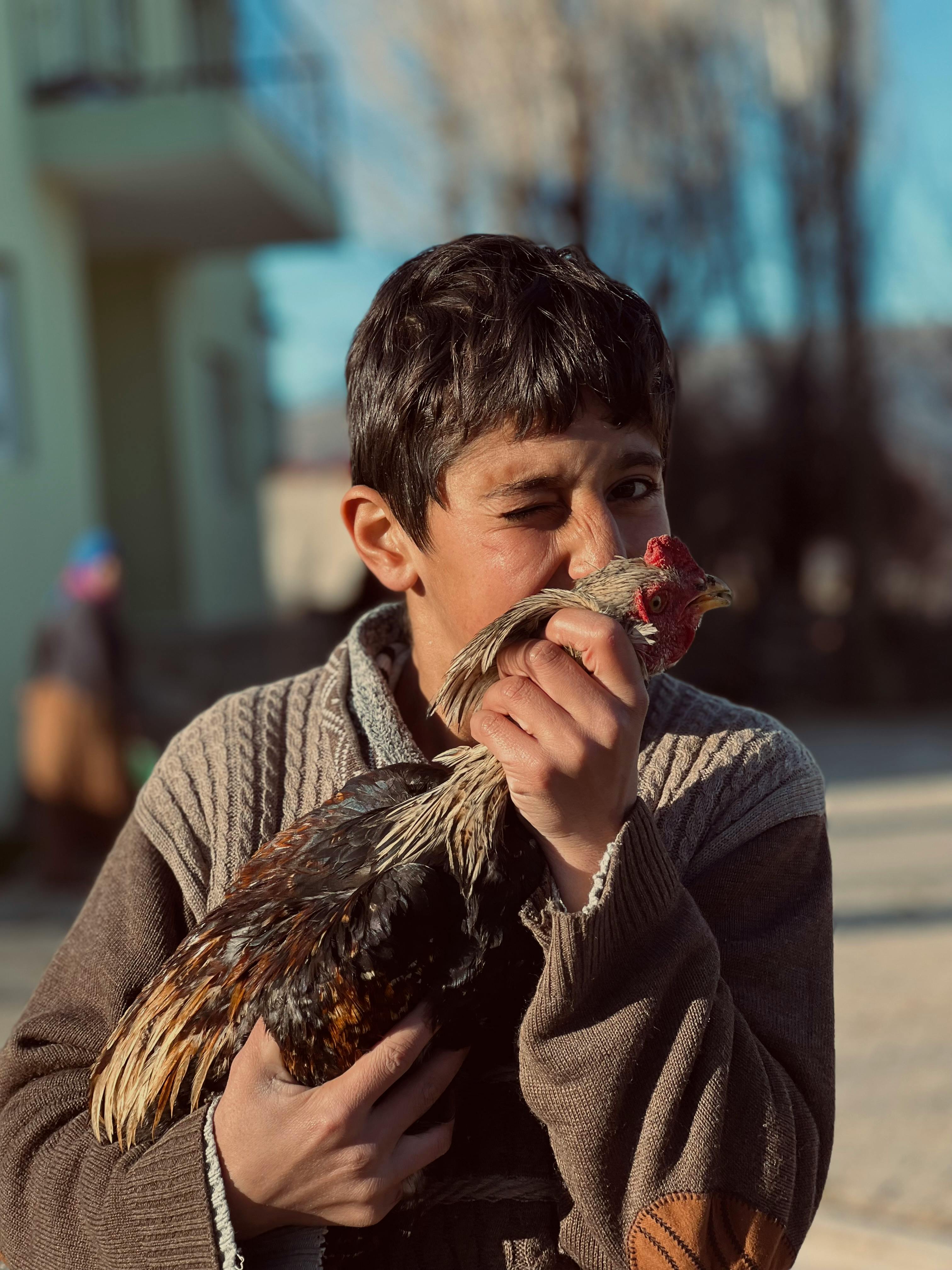 A boy holding a chicken in his hand