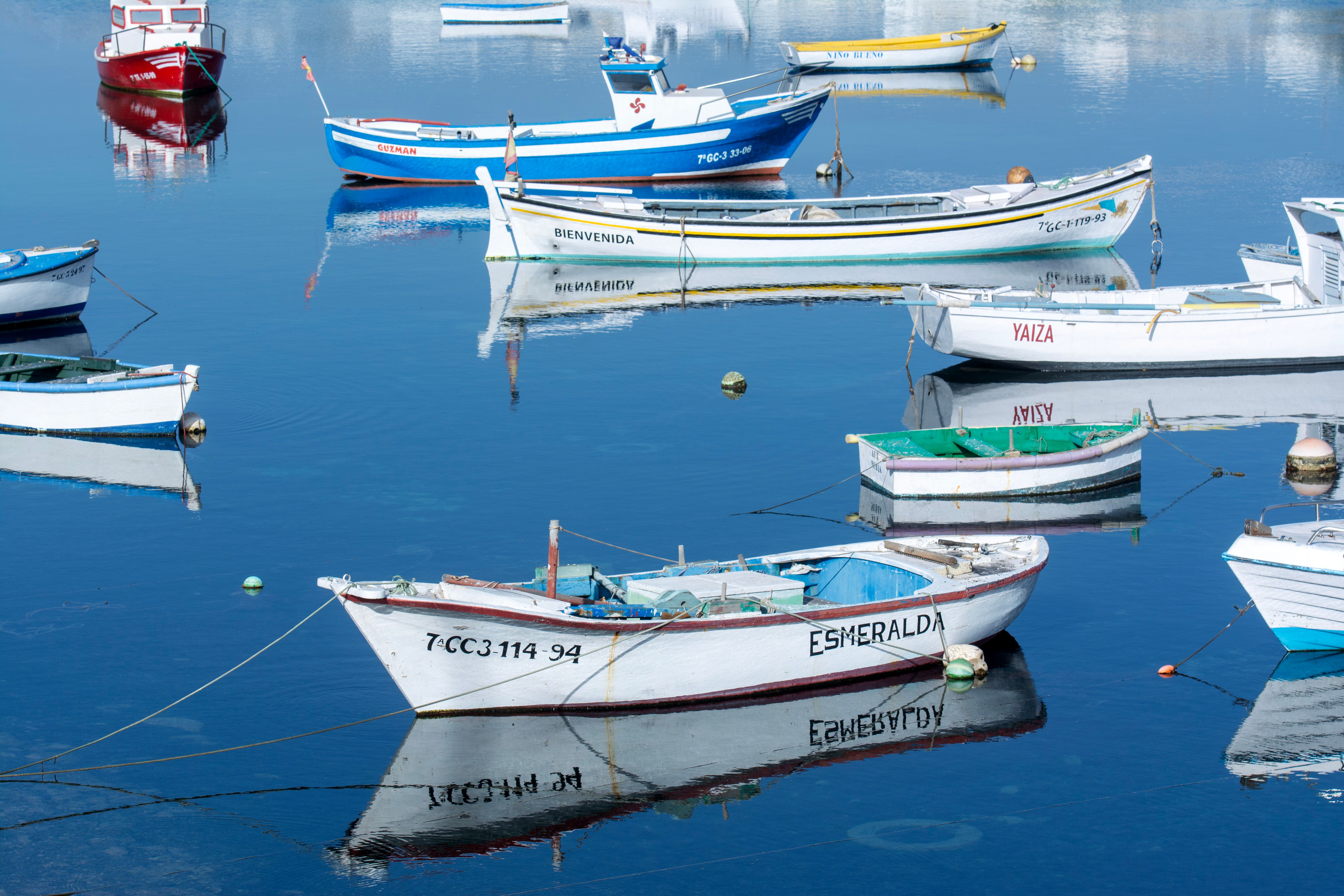 A group of boats in the water · Free Stock Photo