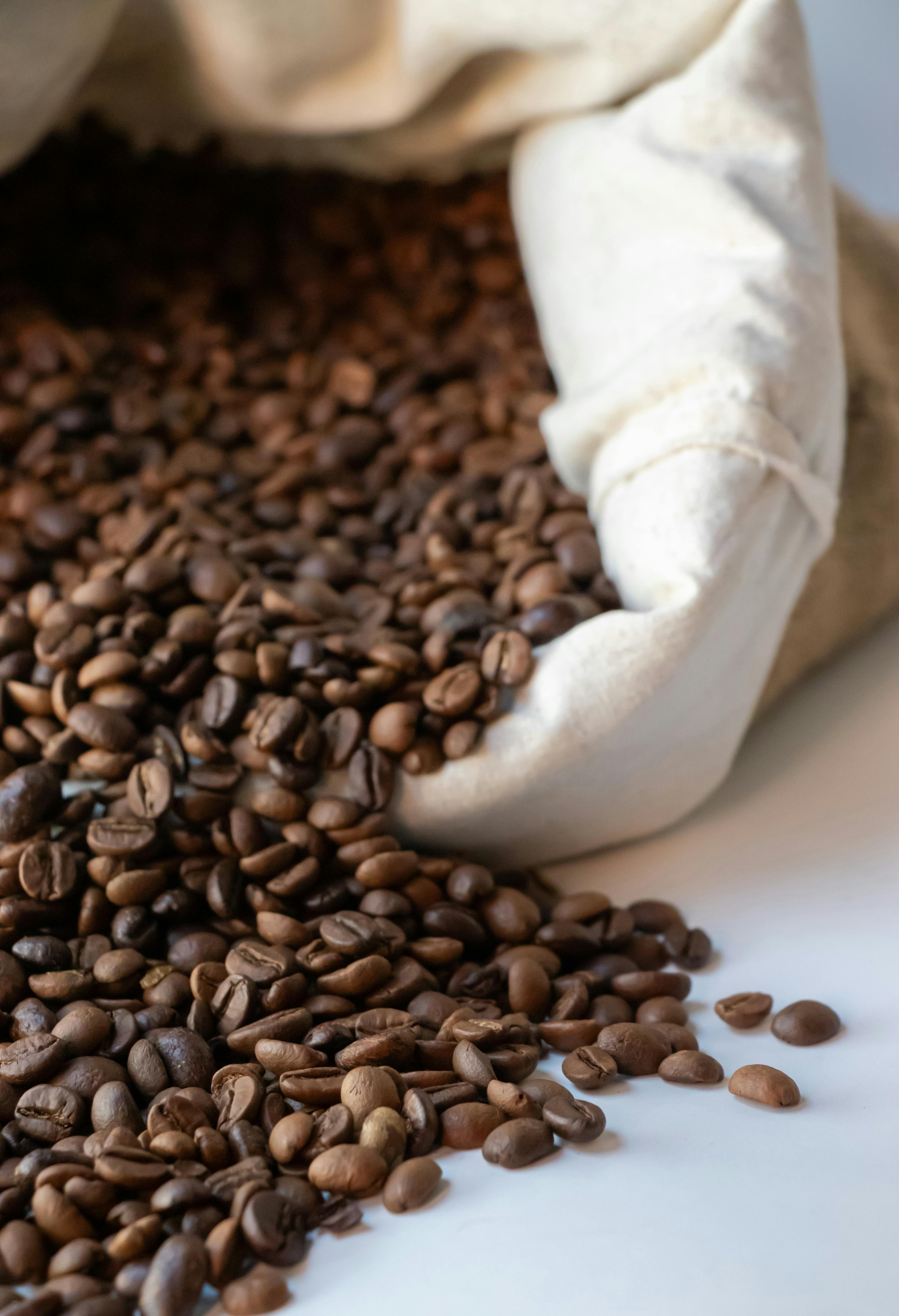 Fresh roasted coffee beans in a burlap sack, perfect for brewing aromatic coffee.