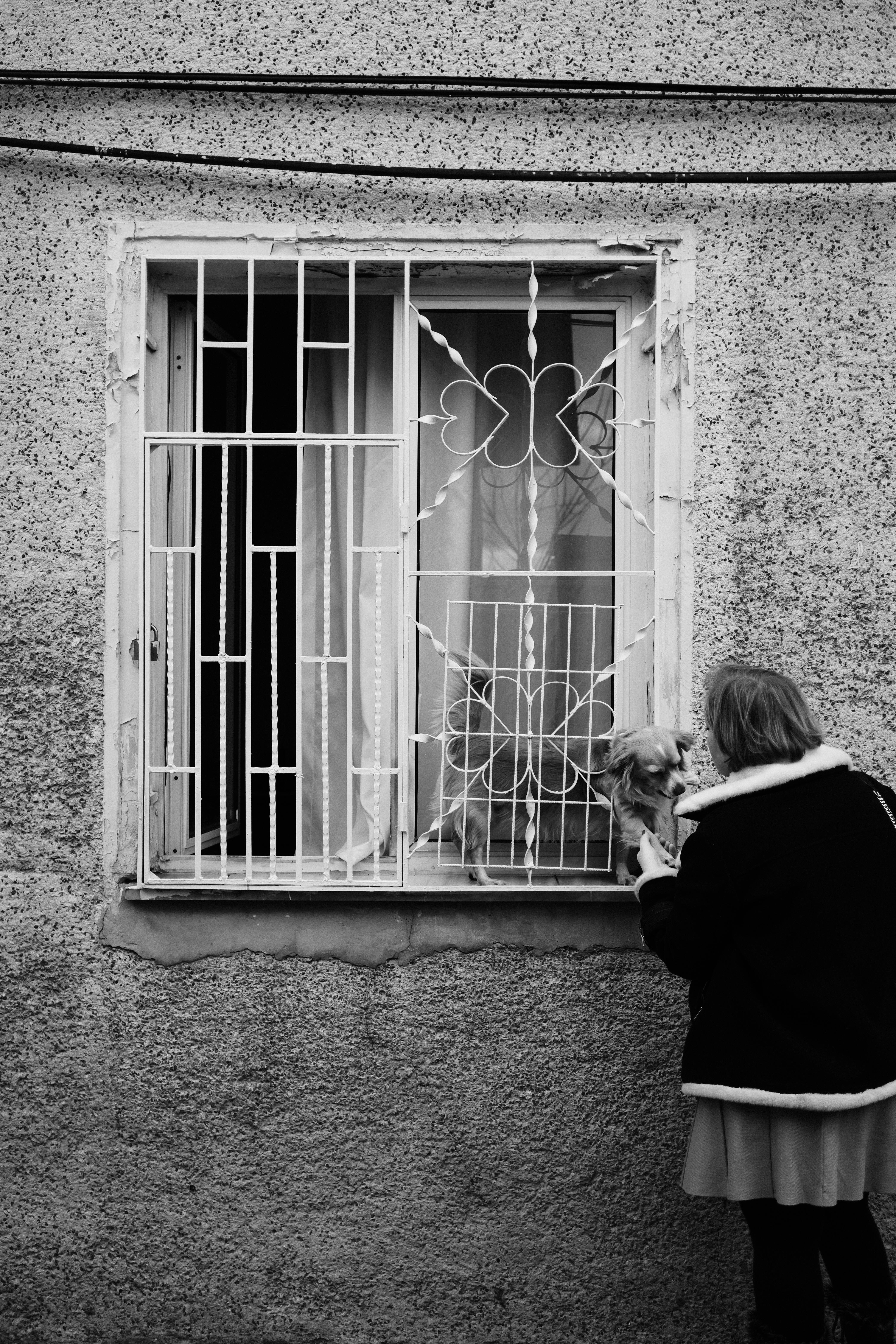 a woman looking out the window of a building