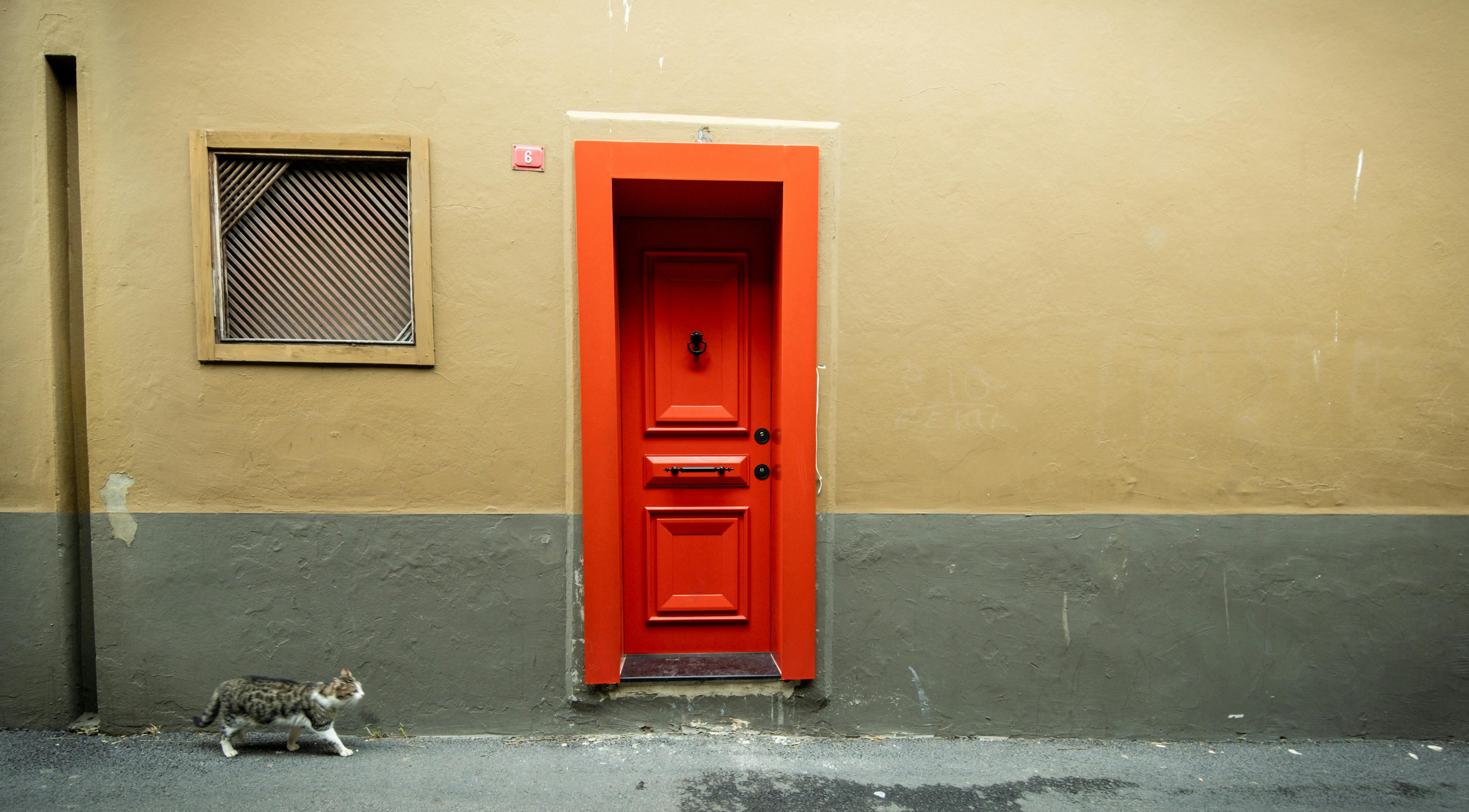 a cat is sitting in front of a red door