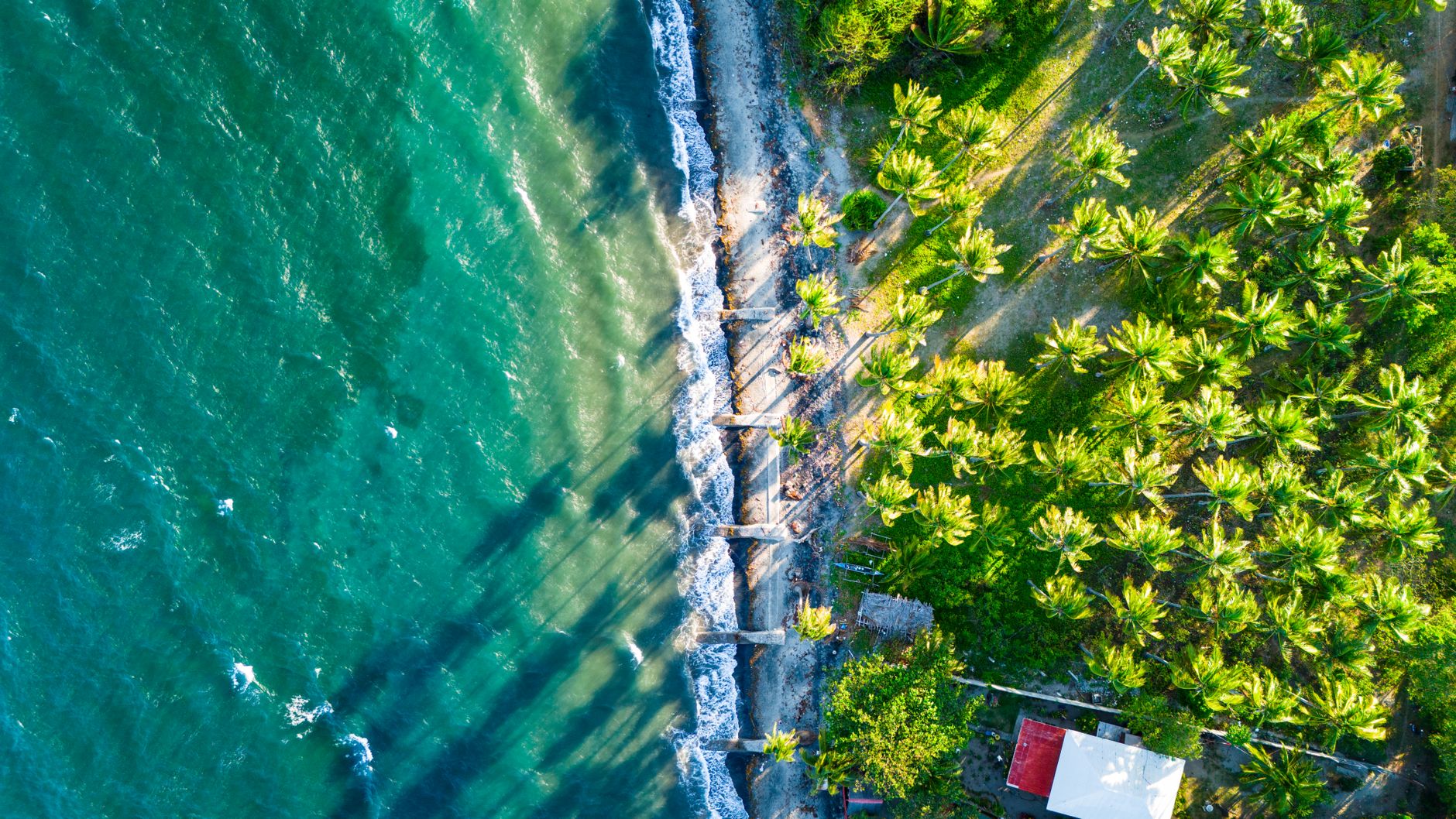 Stunning aerial shot of Bacong, Philippines showcasing azure waters and lush palm trees along the coast.