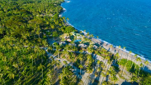 Free A stunning aerial shot of Bacong's tropical coast, featuring lush coconut trees and crystal-clear ocean waters. Stock Photo