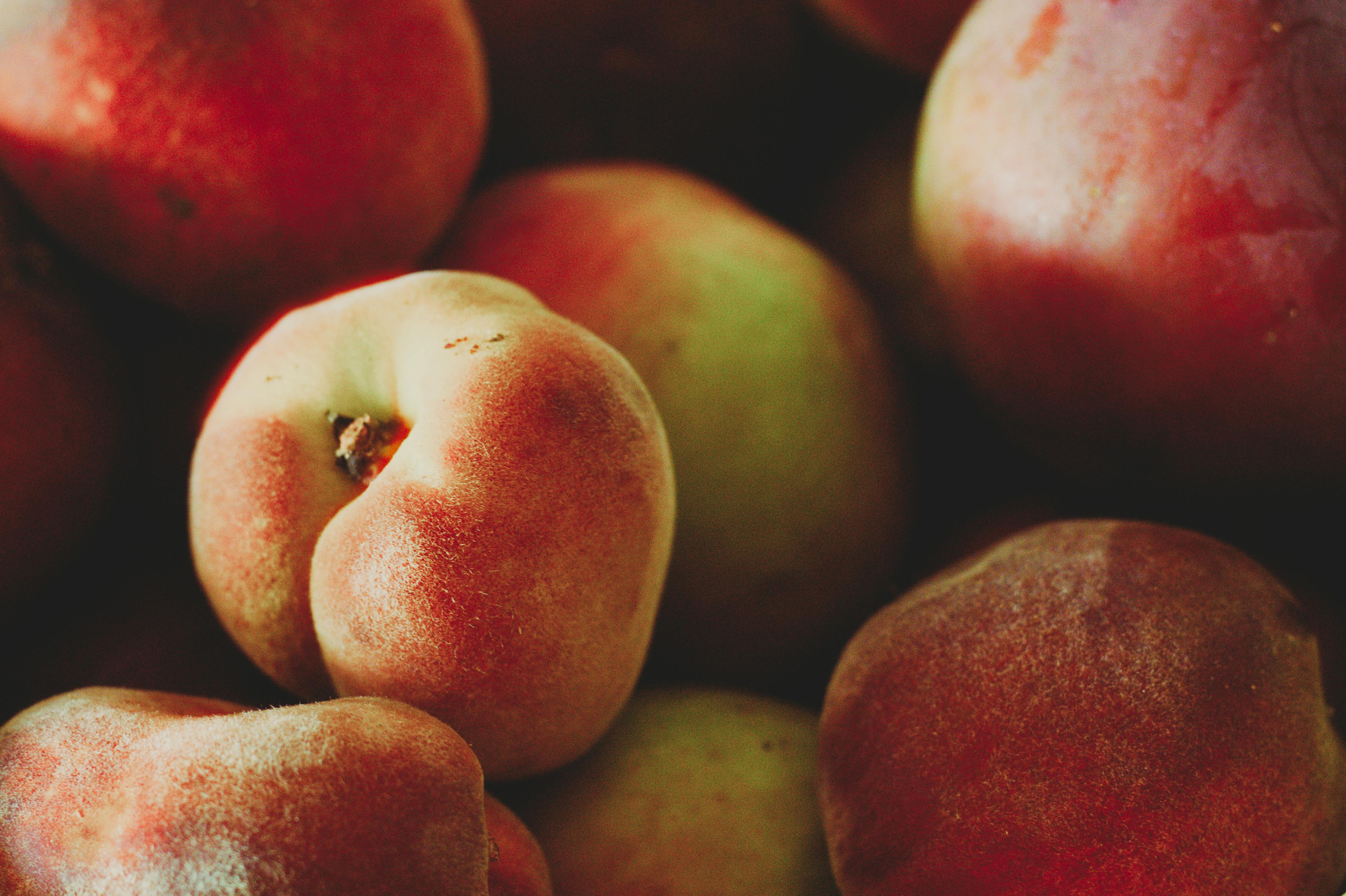 Fruit Orchards and Bee Farms: Tasting Nature's Bounty