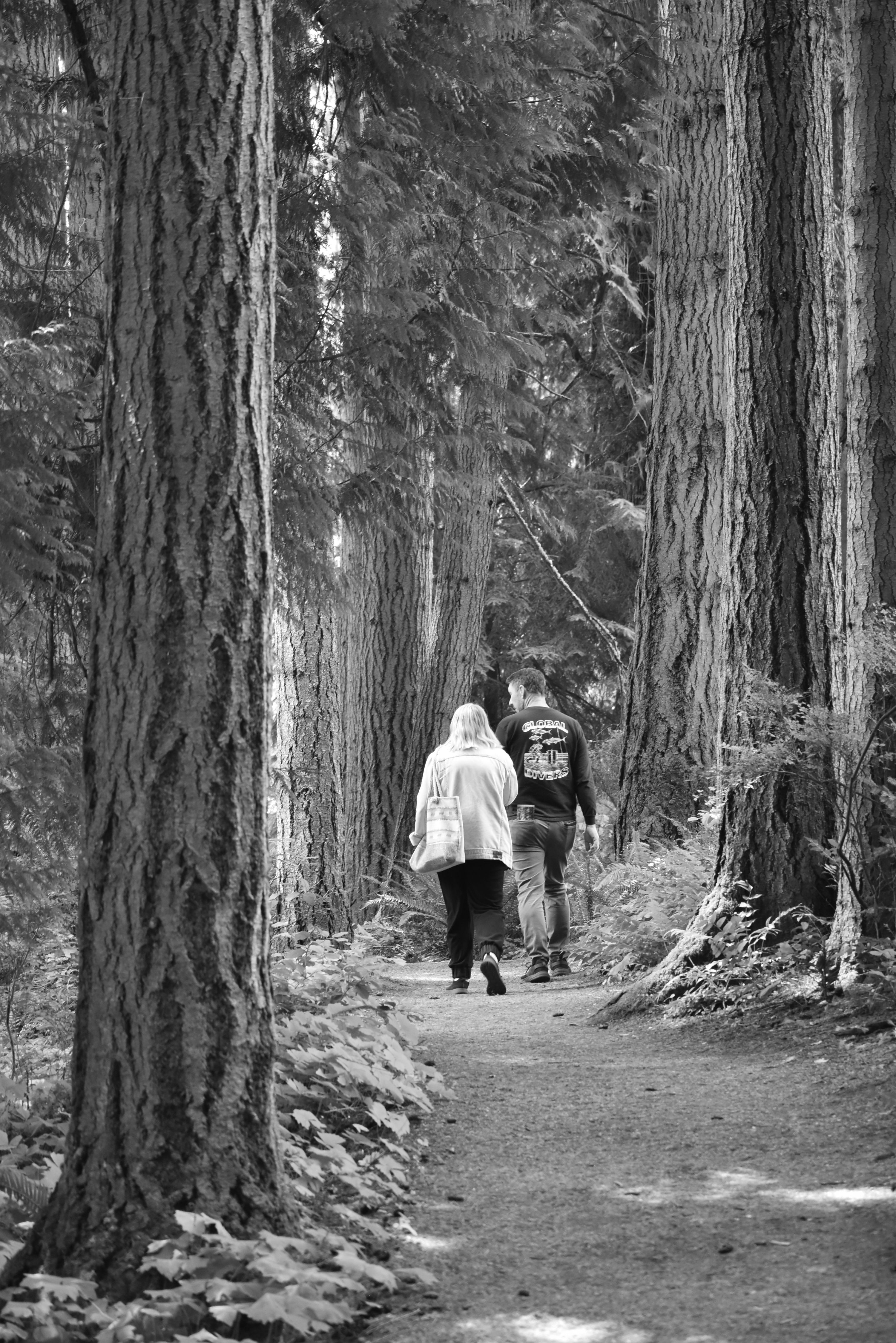 A black and white photo of two people walking down a trail · Free Stock ...