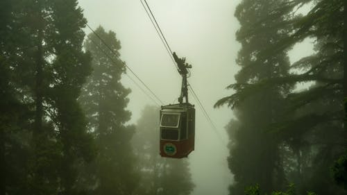 White and Red Cable Car