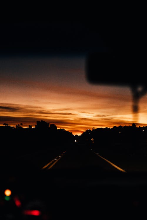 Silhouette Di Alberi E Autostrada