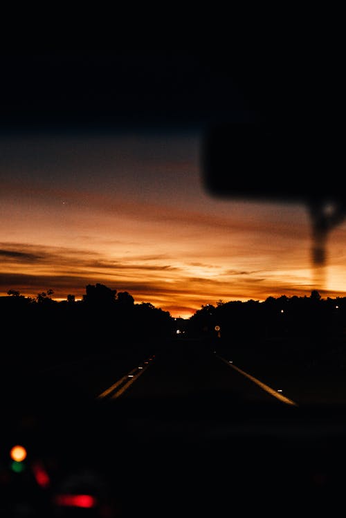 Free Silhouette of Trees and Highway Stock Photo