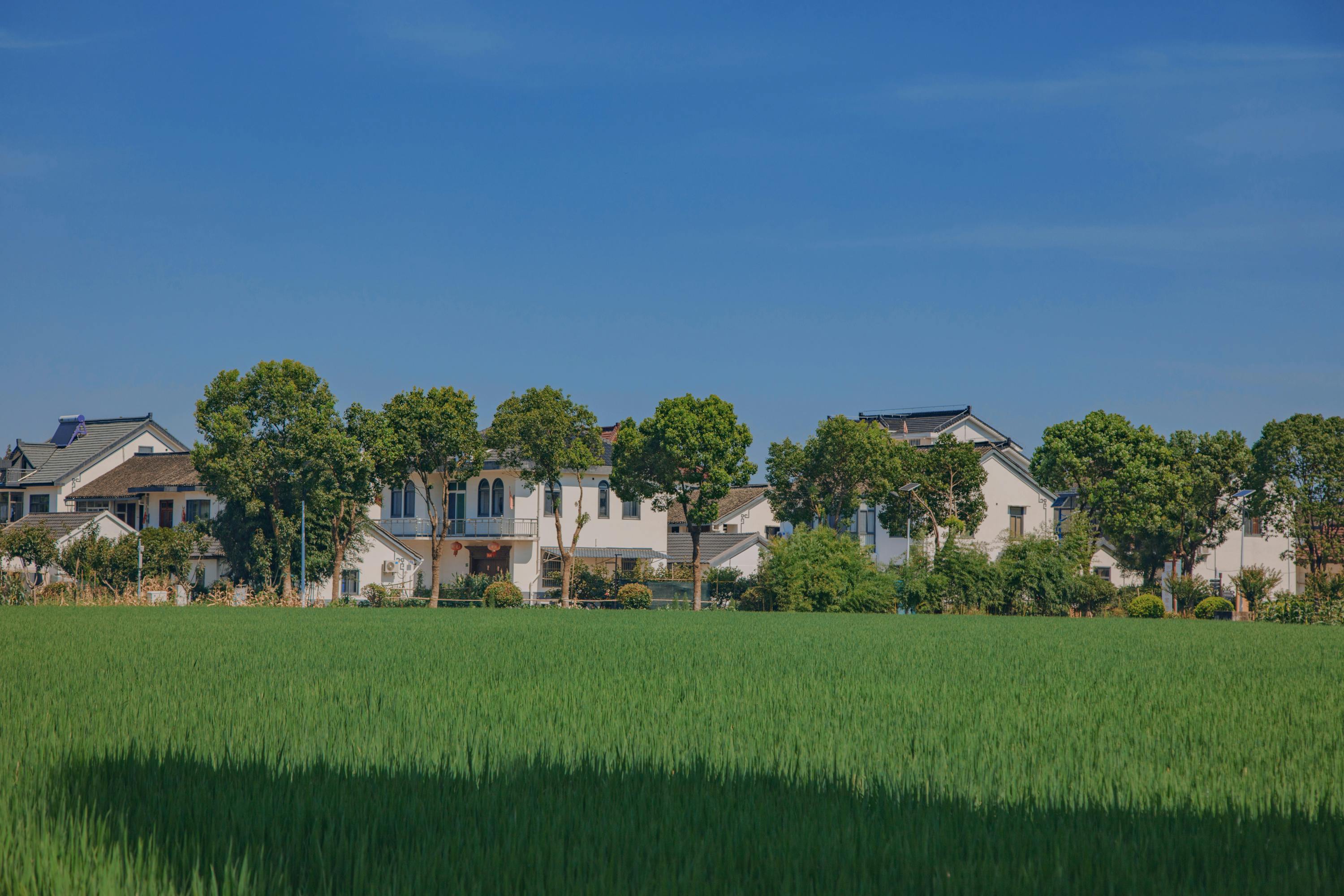 Farmers receives approval for new homeowners insurance rating plan in California — Photo by may peng on Pexels