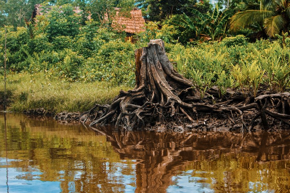 Foto de Sepik River