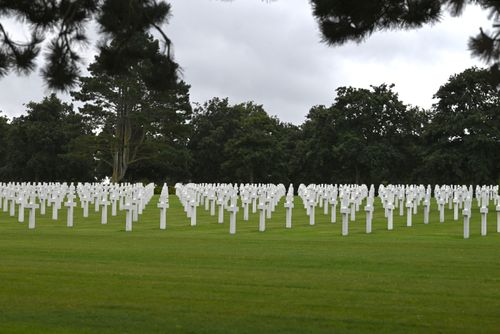 Free Rows of white crosses in a military cemetery surrounded by trees, evoking solemn remembrance. Stock Photo