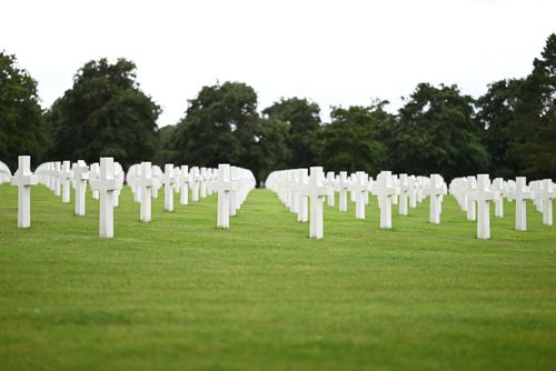 Free Tranquil military cemetery with aligned white crosses on a green lawn, surrounded by trees. Stock Photo