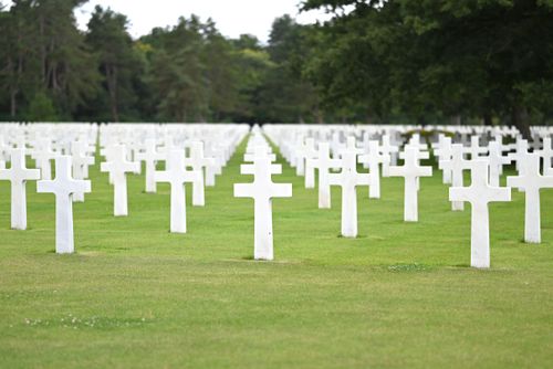 Free Rows of white crosses in a peaceful outdoor military cemetery, symbolizing remembrance and sacrifice. Stock Photo