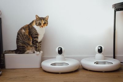 Furbo 360° Dog Camera