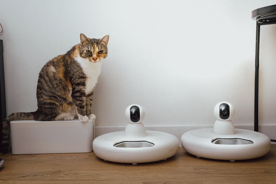 smart pet monitoring system in apartment - Apartments with pet amenities smart pet monitoring system in apartment - Apartments with pet amenities
