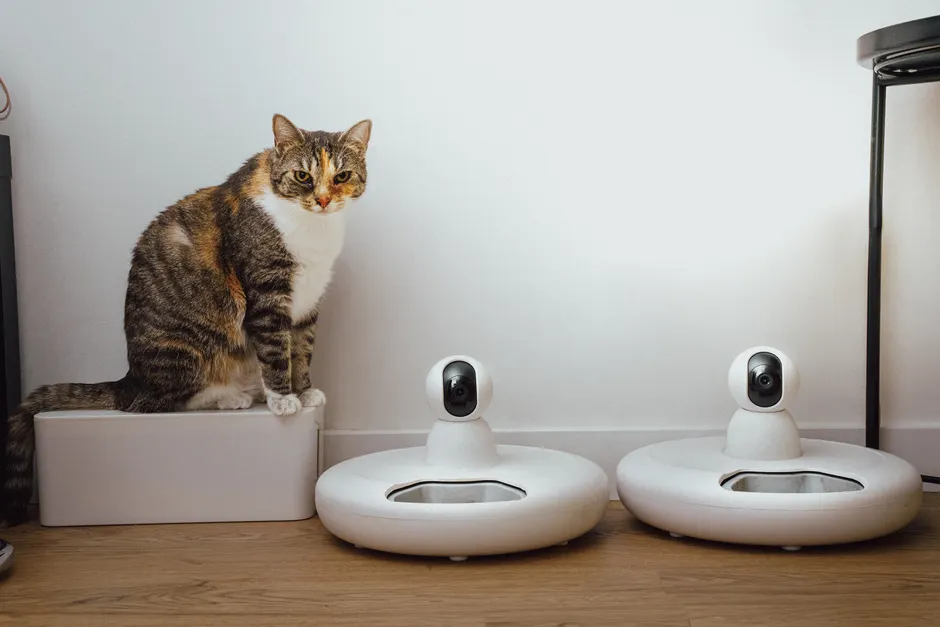treat dispensing camera