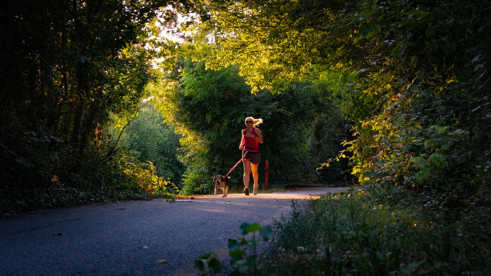 Woman jogging with her dog on a forest path, surrounded by lush greenery.