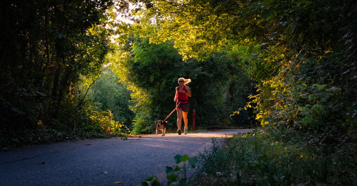 Trail Running Comes to Lake Grapevine: What to Know About the DFW Burning Soles Series in Flower Mound