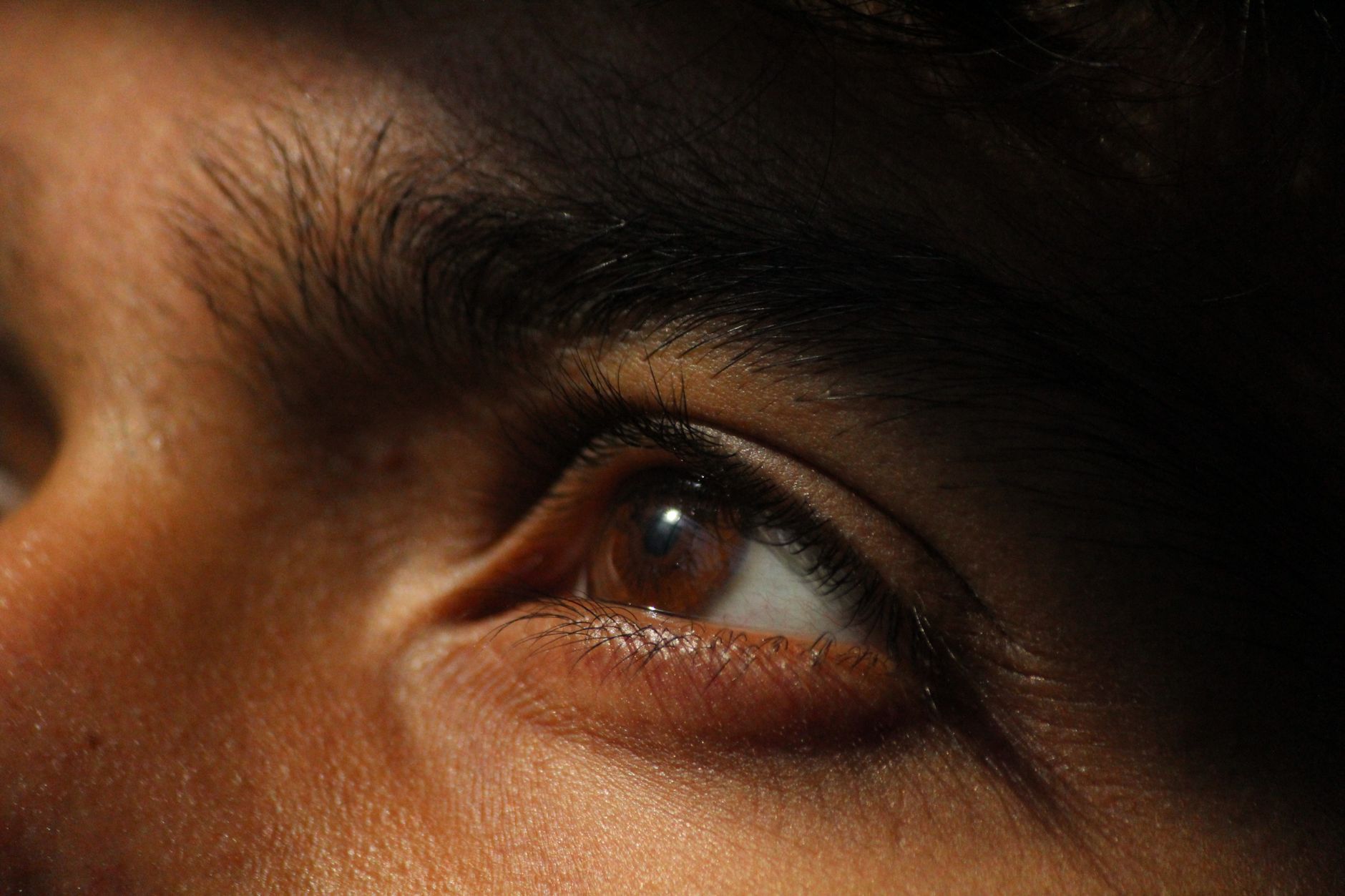 The Remarkable Blink: How Many Times Do Your Eyes Work Each Day?