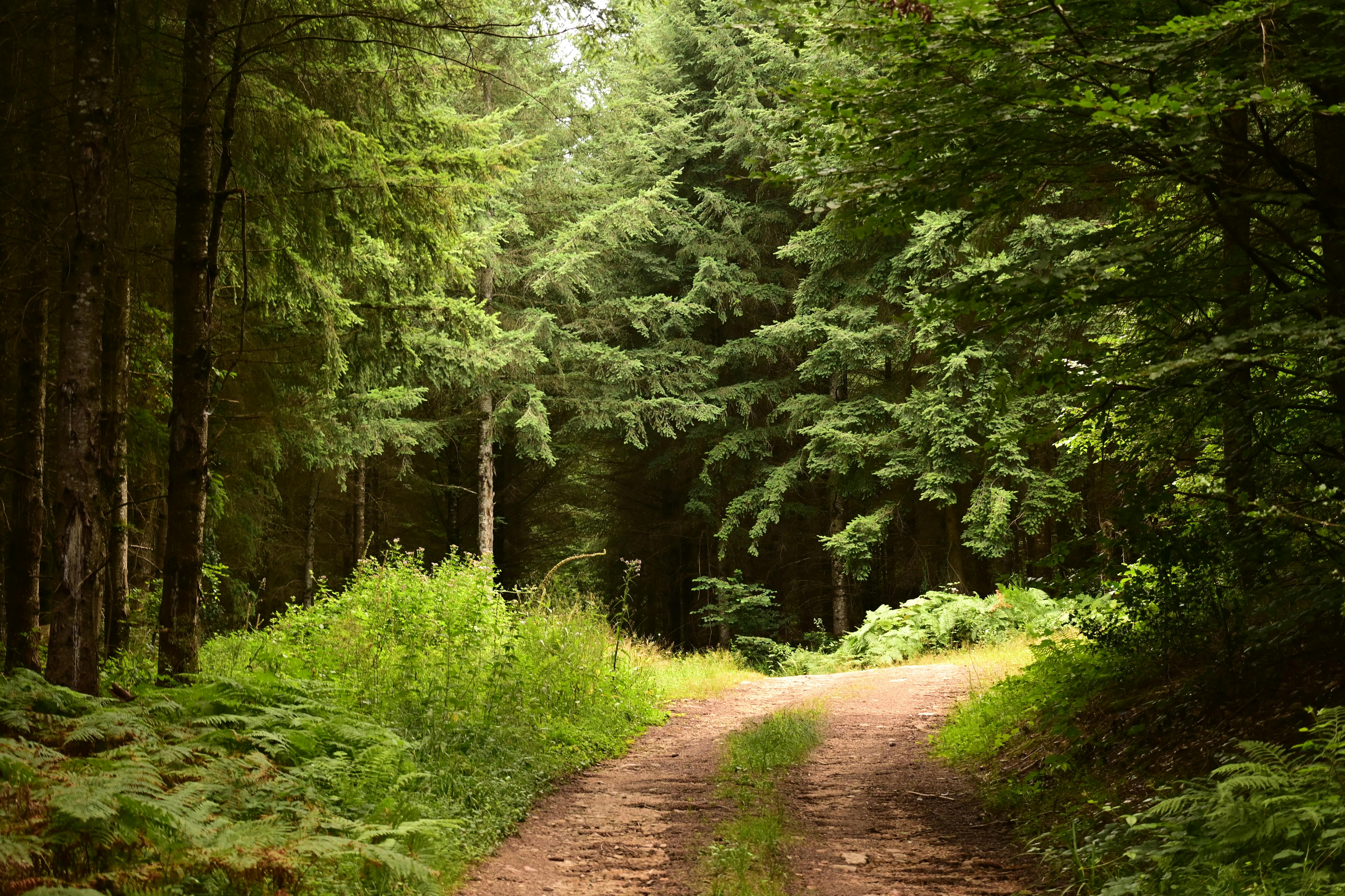Healthspan White Paper: The Data-Driven Path to Longevity — Photo by Werner Redlich on Pexels