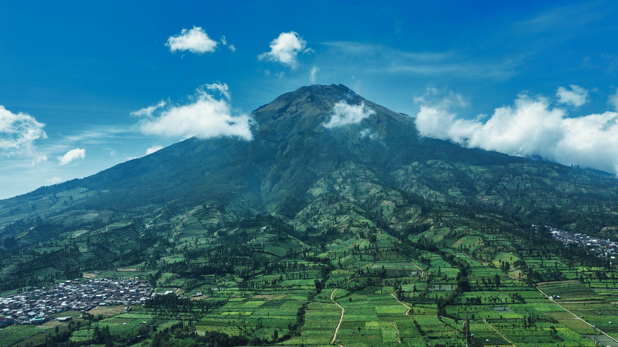 Ternate