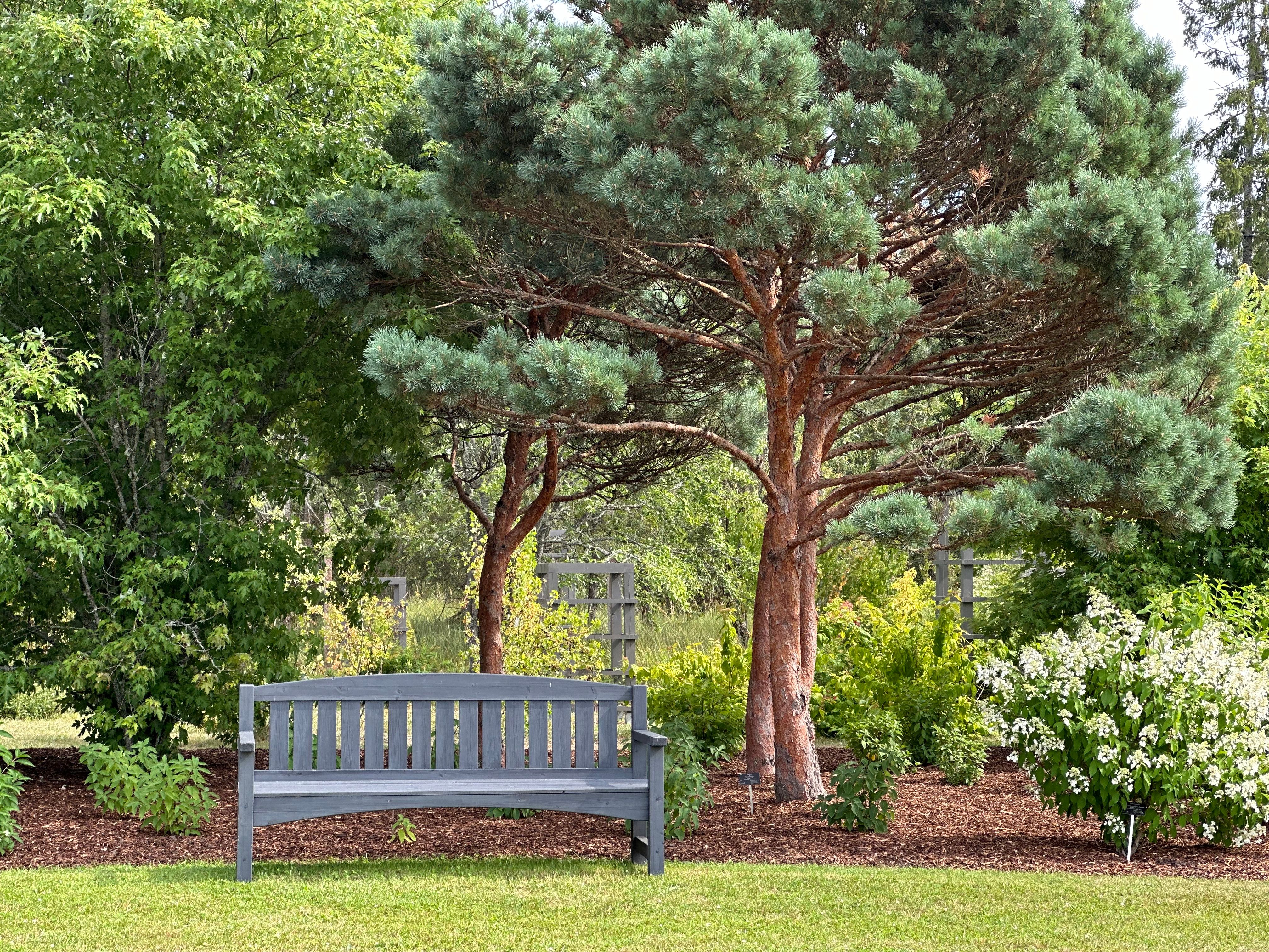 A bench in a park with trees and flowers · Free Stock Photo