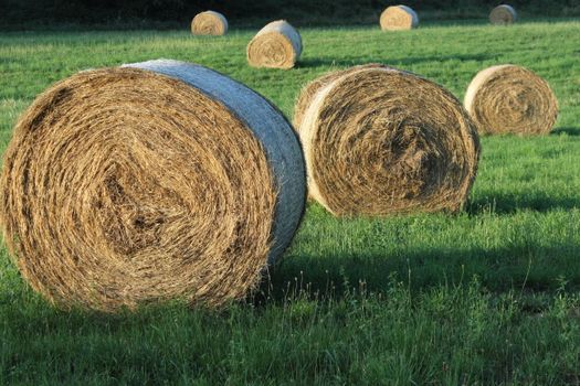 Captivating image of hay bales dotting a lush green field in rural Piemonte, Italy.